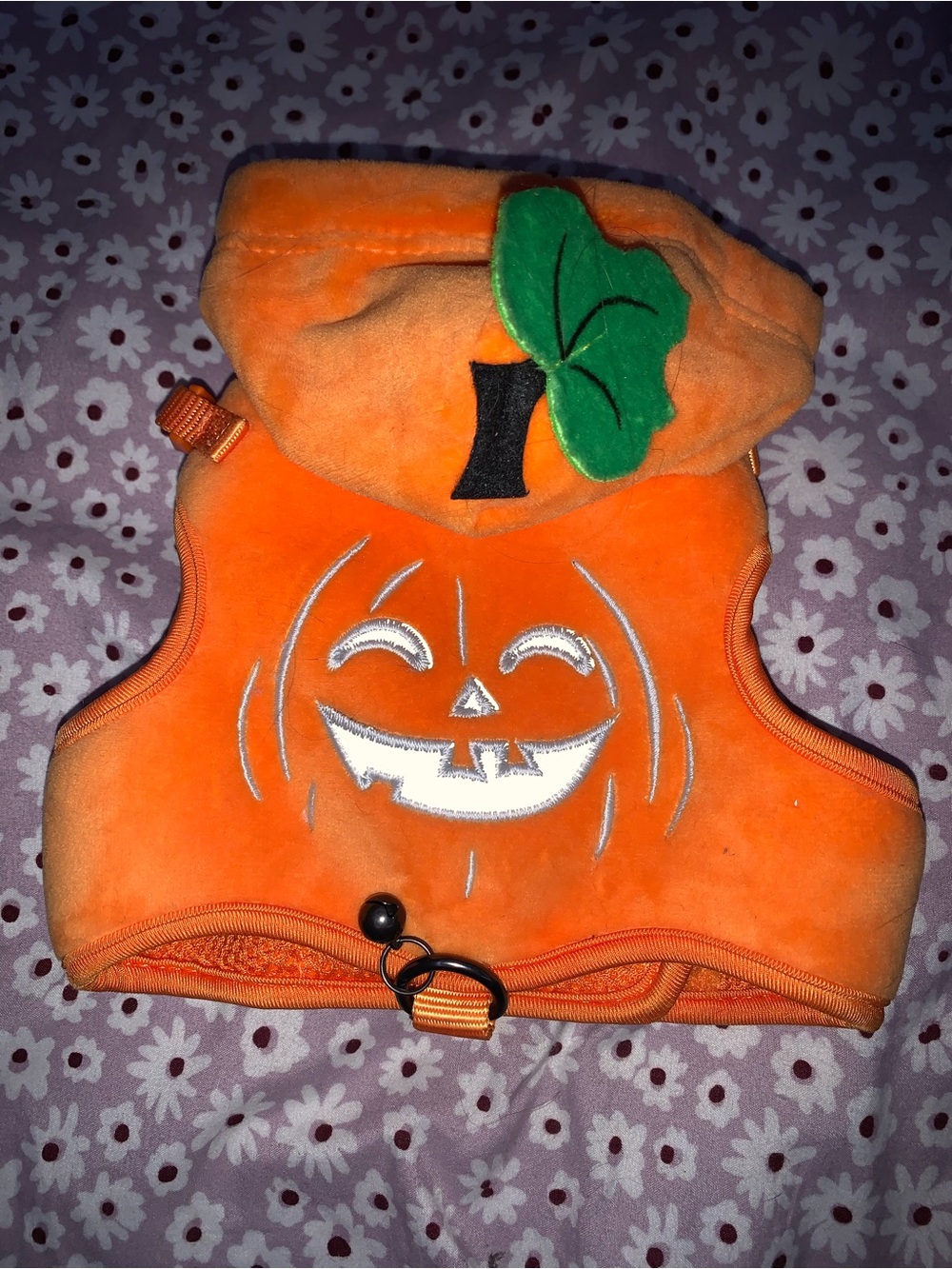 Orange Pumpkin Cat Costume/Harness